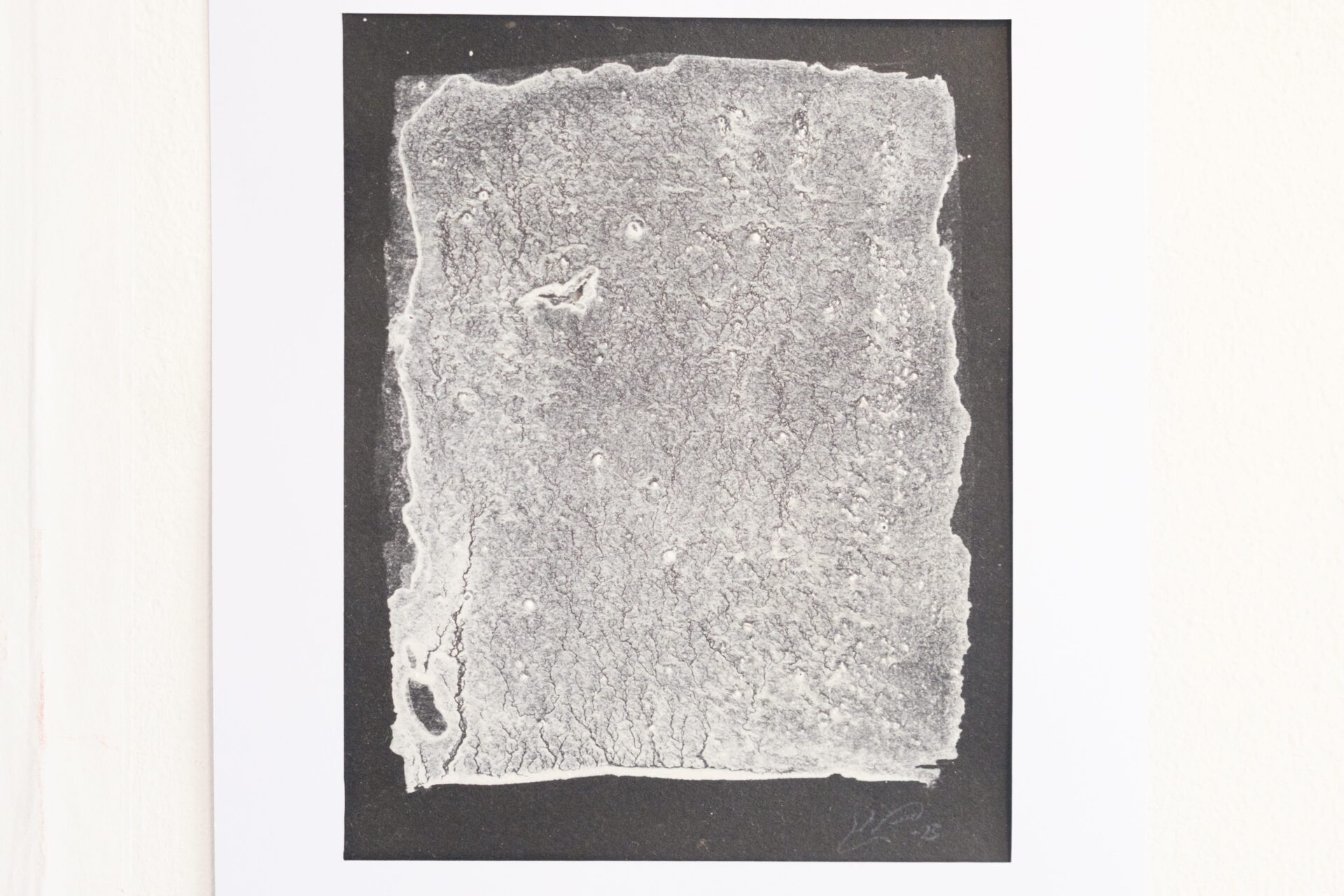 fragment (11)