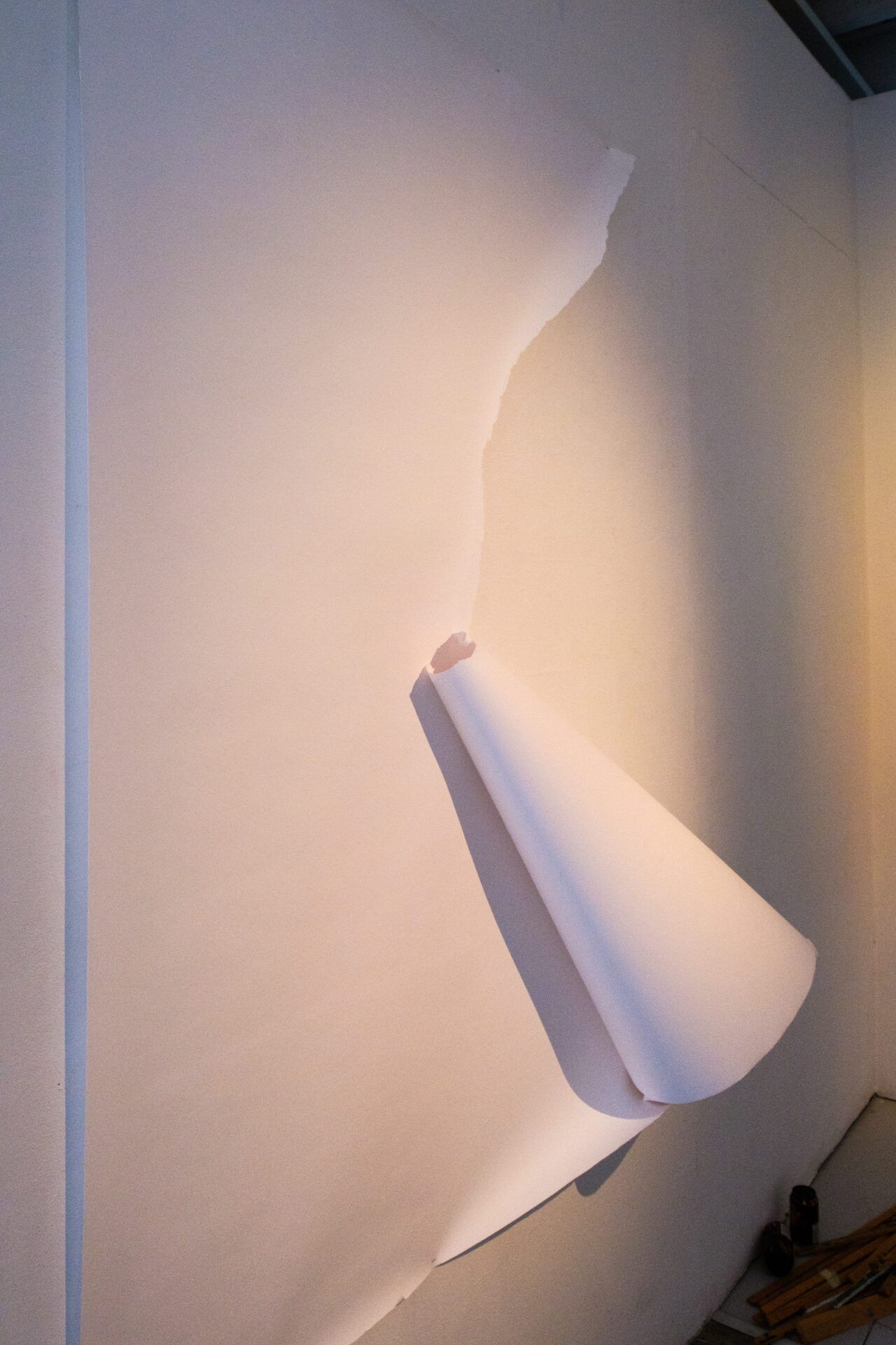fragment (5)